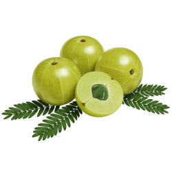 Amla