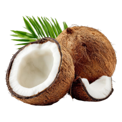 Coconut Oil